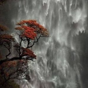 Meet your Posher, Nazmun